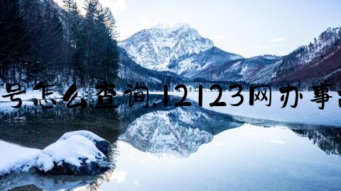 交通事故案件号怎么查询,12123网办事故责任书 打印